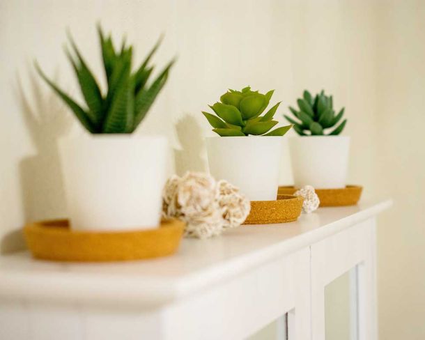 Sienna Skin and Beauty Relax